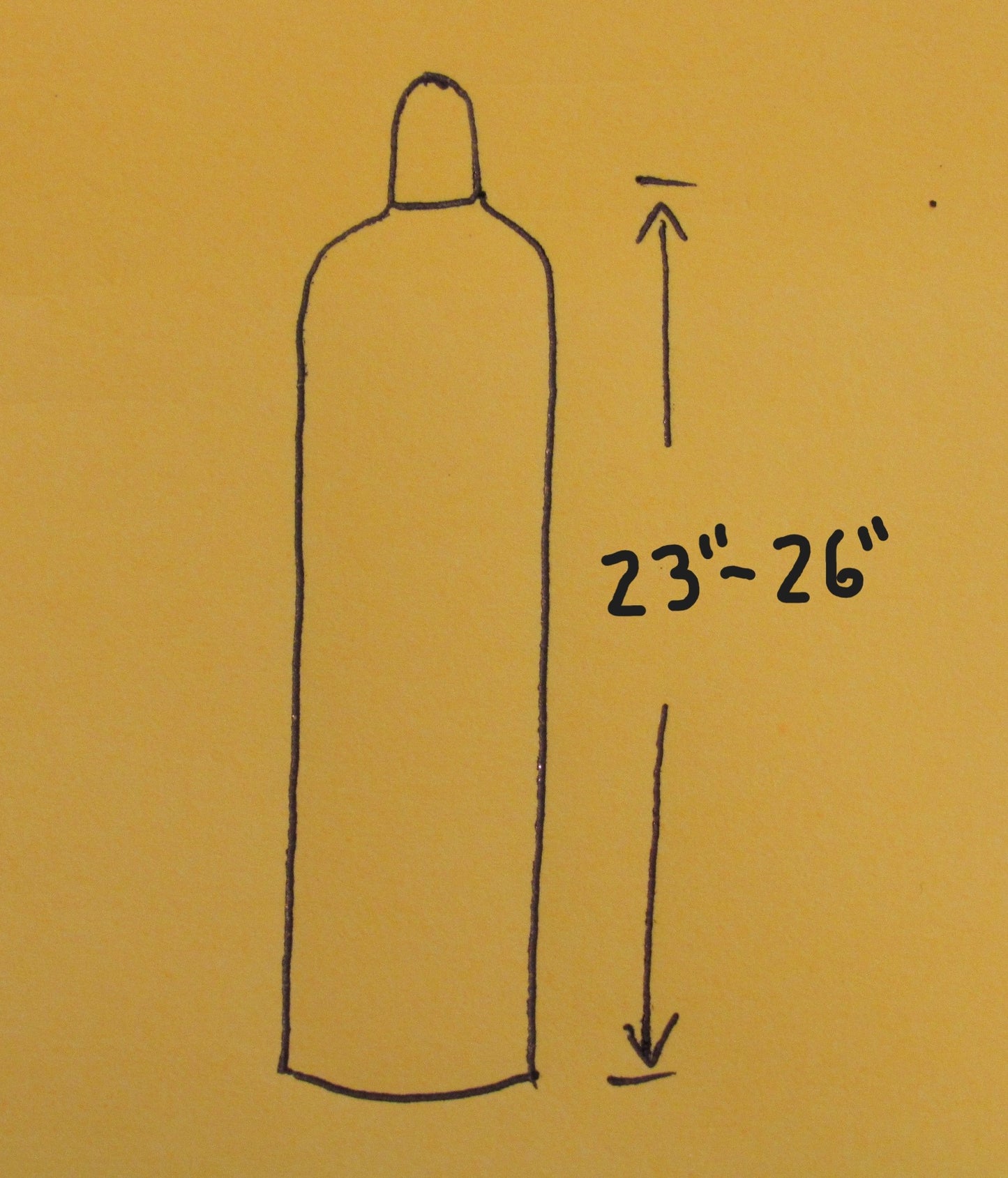 20 LB CO2 EX